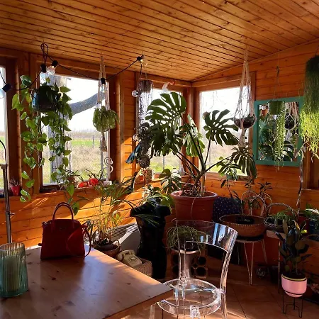 Casa vacanze Kisház *