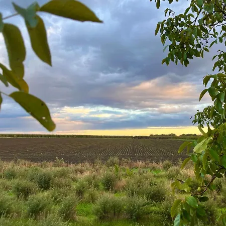 Kisház Casa vacanze *