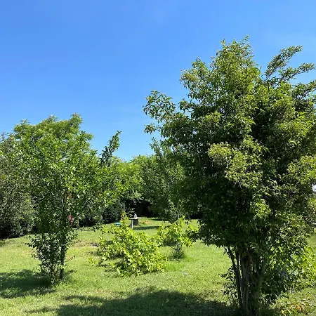 Casa vacanze Kisház Gárdony