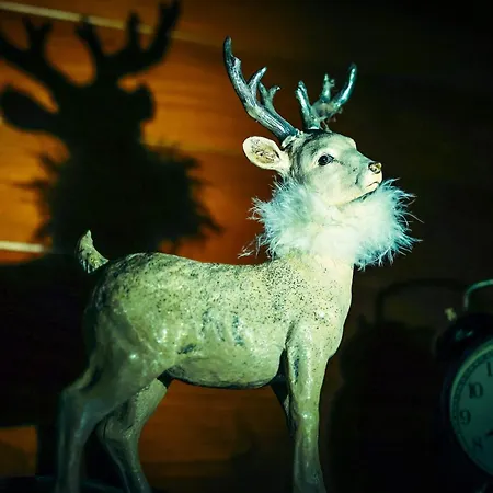 Kisház Casa vacanze Gárdony