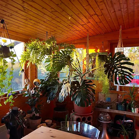 Holiday home Kishaz Gardony