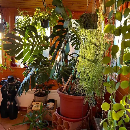 Casa vacanze Kisház Gárdony