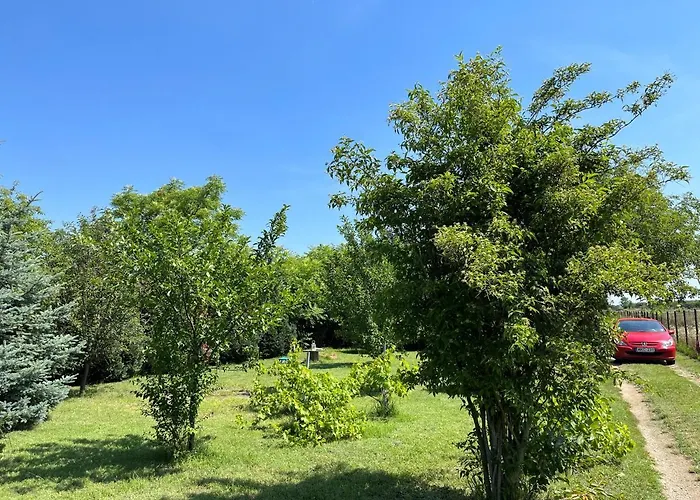 Prázdninový dům Kisház Gárdony