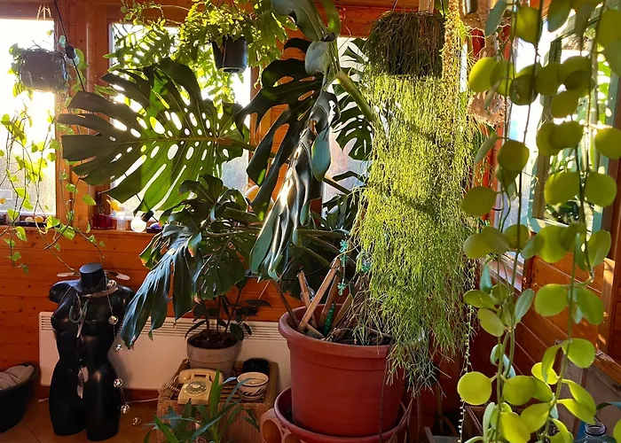 Prázdninový dům Kisház Gárdony